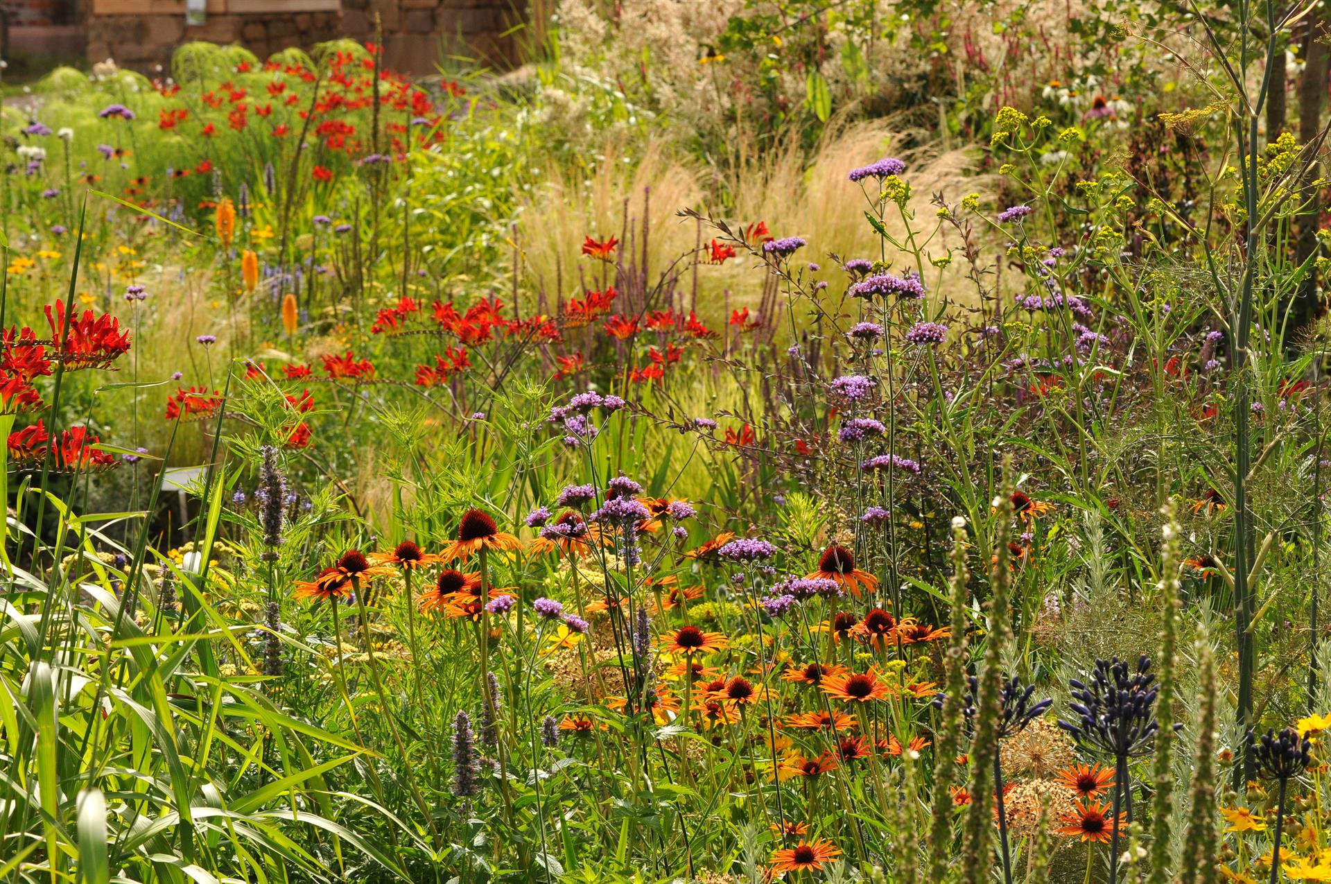 Biodiversität wird durch viele Maßnahmen vermehrt gefördert