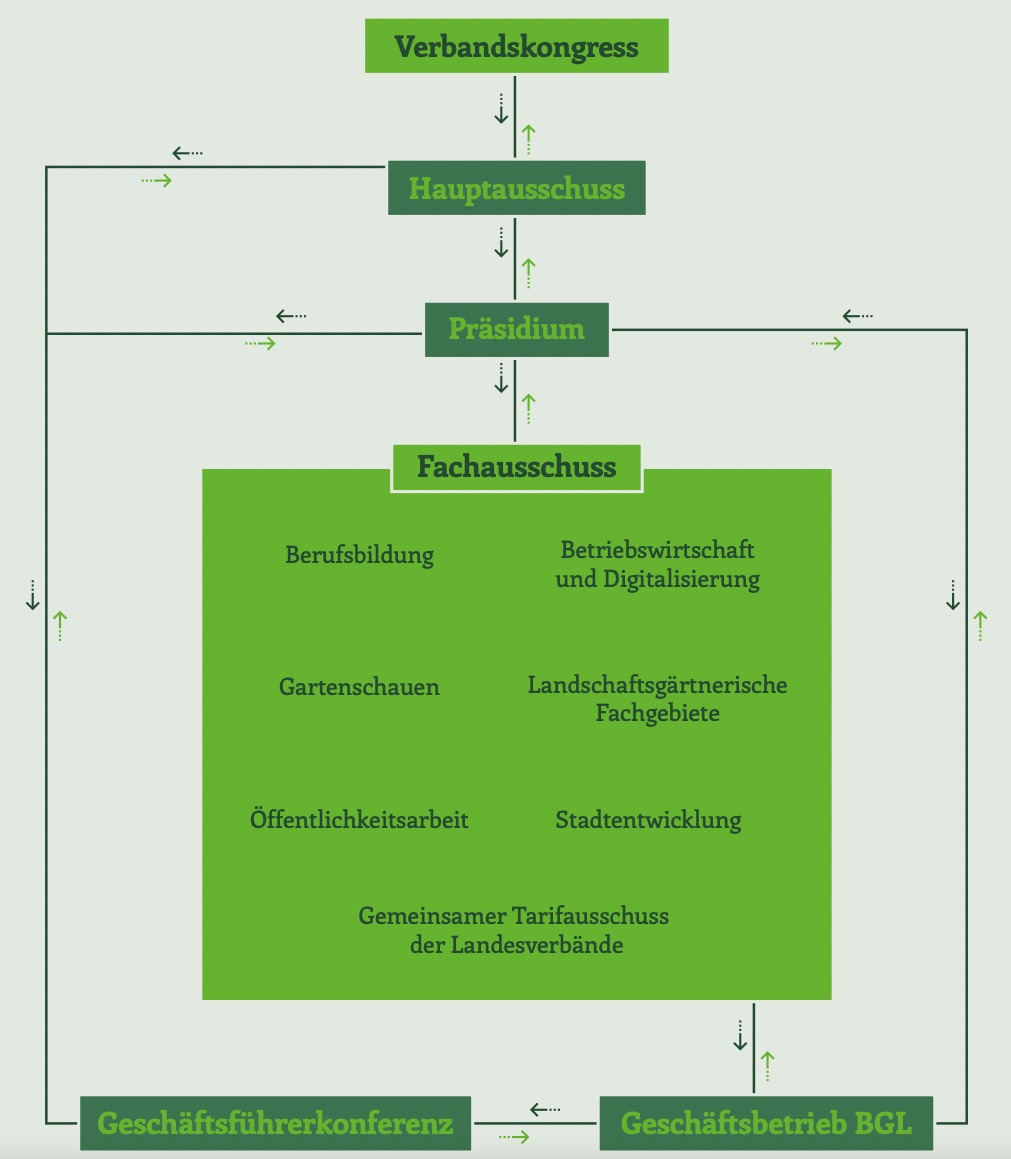 Organigramm des BGL